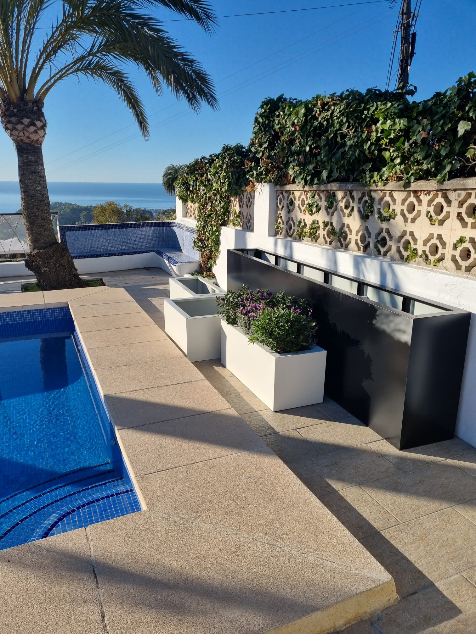 Plantenbak rond olijfboom in Spanje